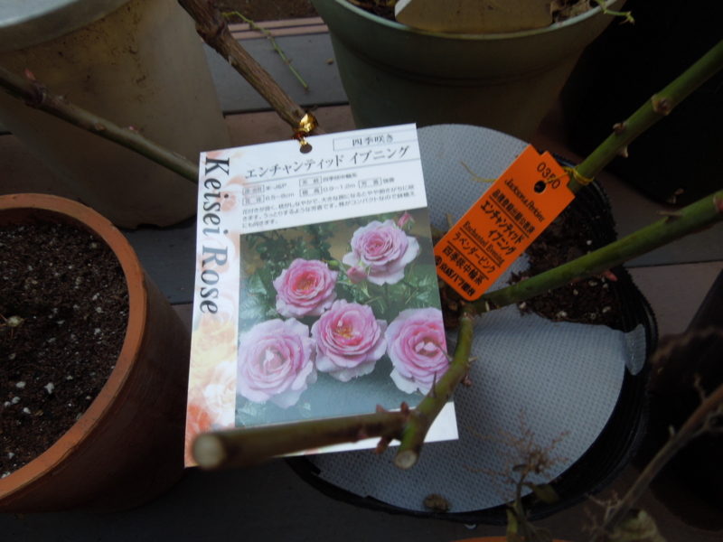 f:id:miyuki1967:20140107081631j:image:w400