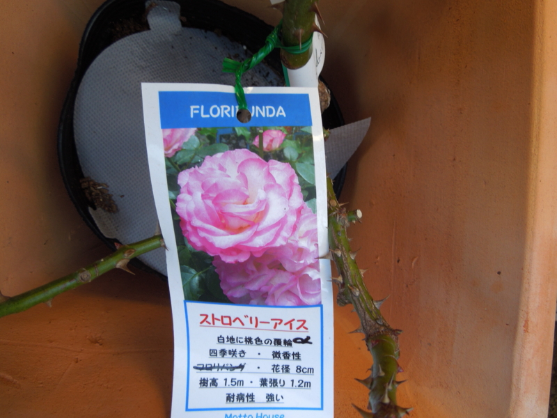 f:id:miyuki1967:20140107081640j:image:w400