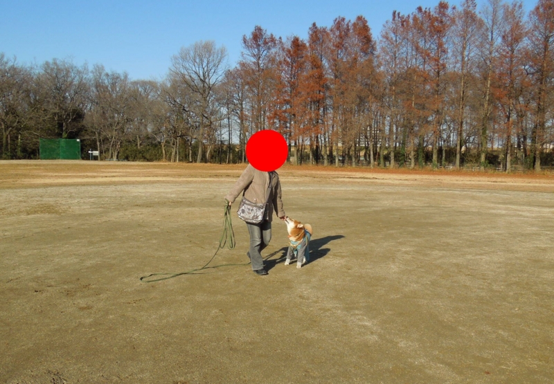 f:id:miyuki1967:20140108114059j:image:w400