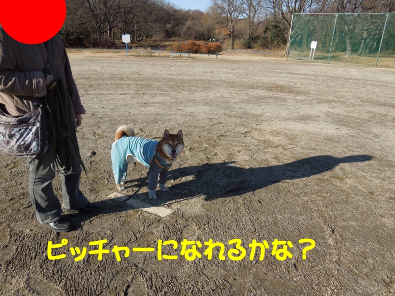 f:id:miyuki1967:20140108115509j:image:w400