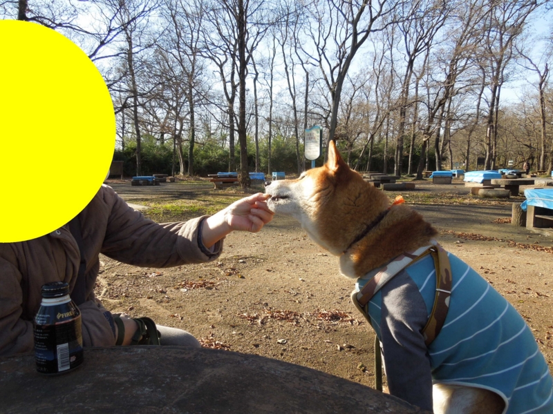 f:id:miyuki1967:20140108121215j:image:w400