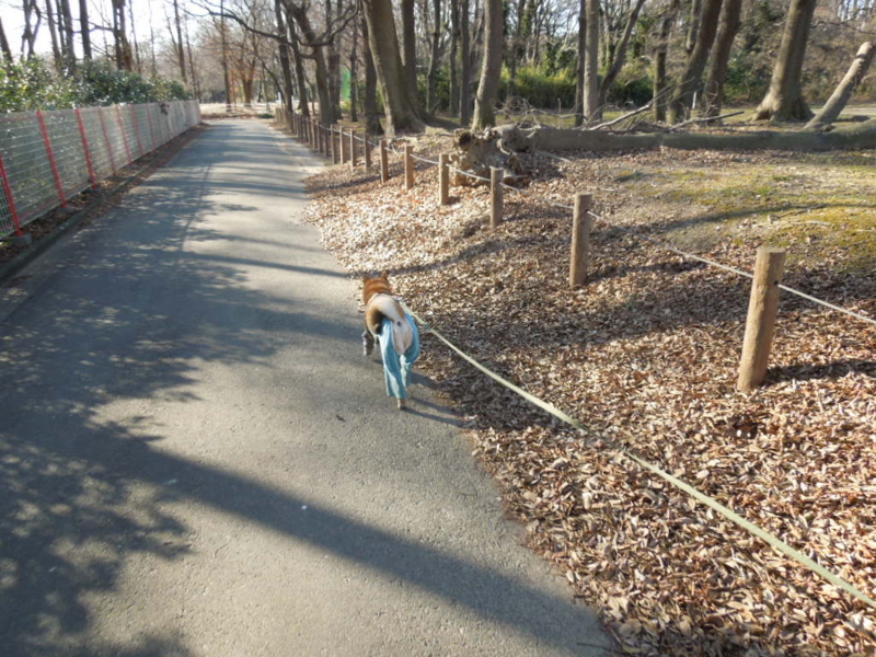 f:id:miyuki1967:20140113135047j:image:w400