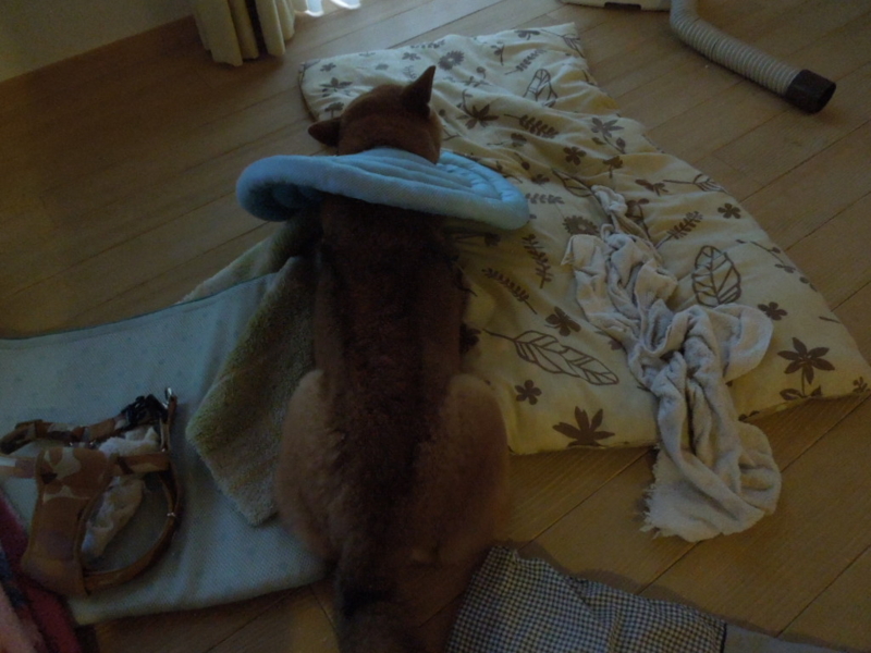 f:id:miyuki1967:20140113155608j:image:w400