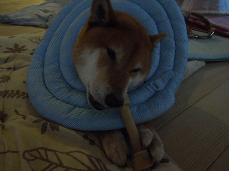 f:id:miyuki1967:20140113155628j:image:w400