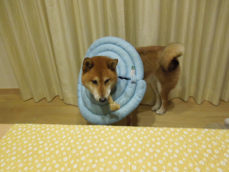 f:id:miyuki1967:20140113171621j:image:w400