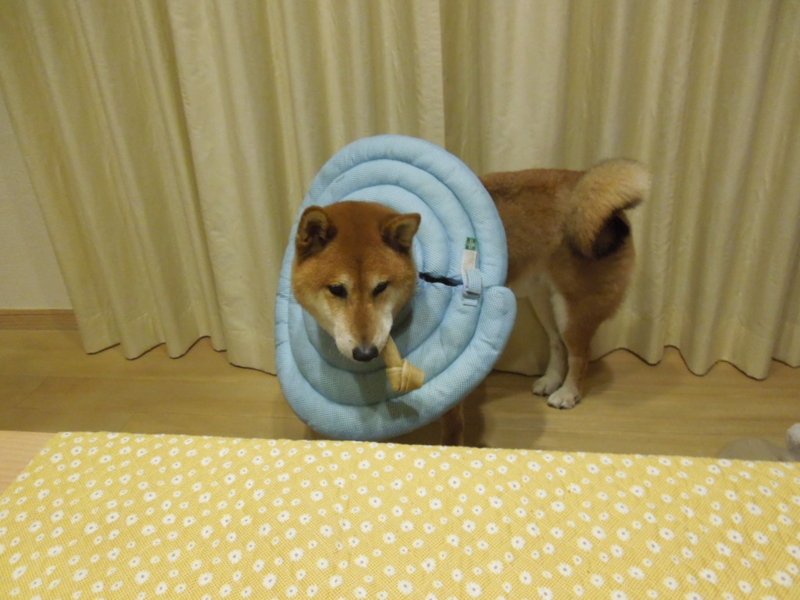 f:id:miyuki1967:20140113171622j:image:w400