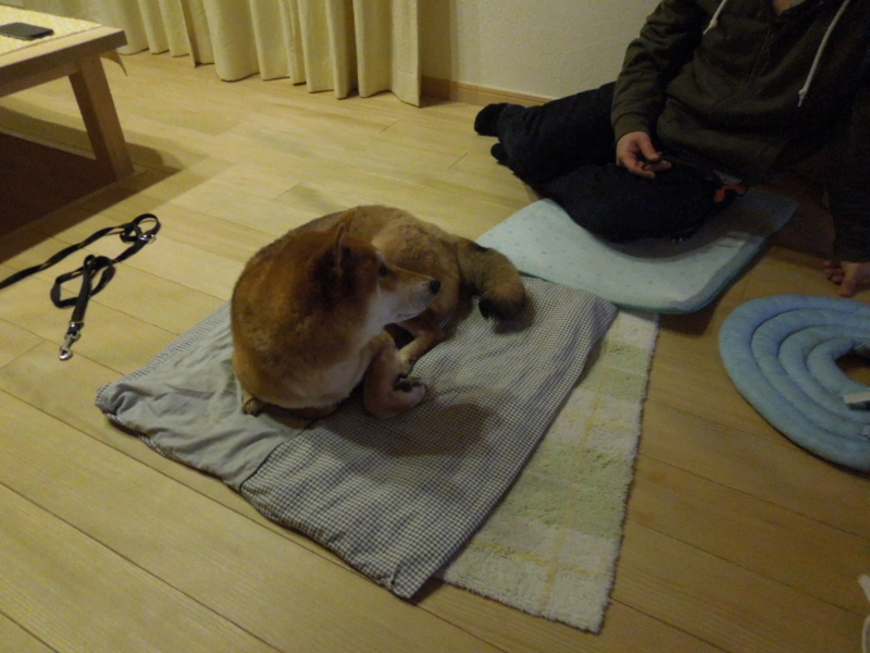 f:id:miyuki1967:20140113212303j:image:w400