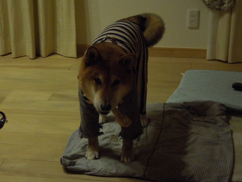 f:id:miyuki1967:20140113212520j:image:w400