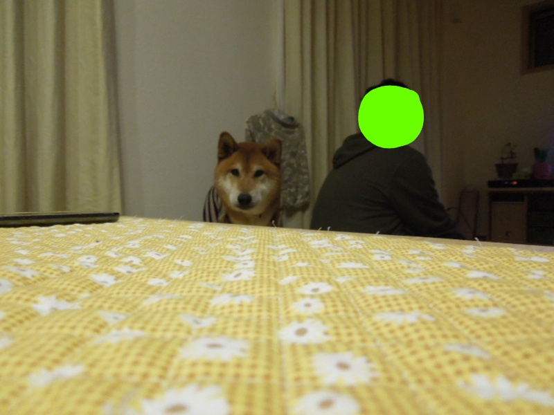 f:id:miyuki1967:20140113220401j:image:w400