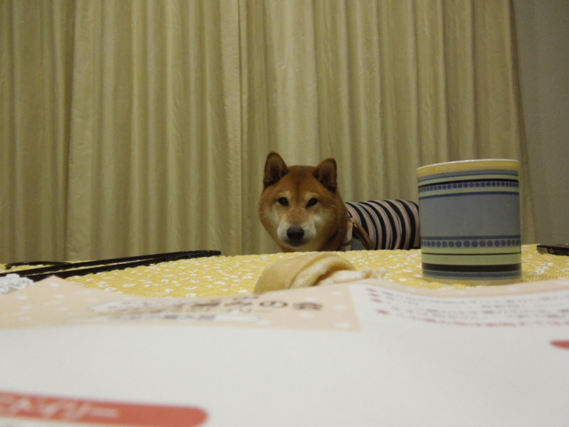 f:id:miyuki1967:20140113220416j:image:w400