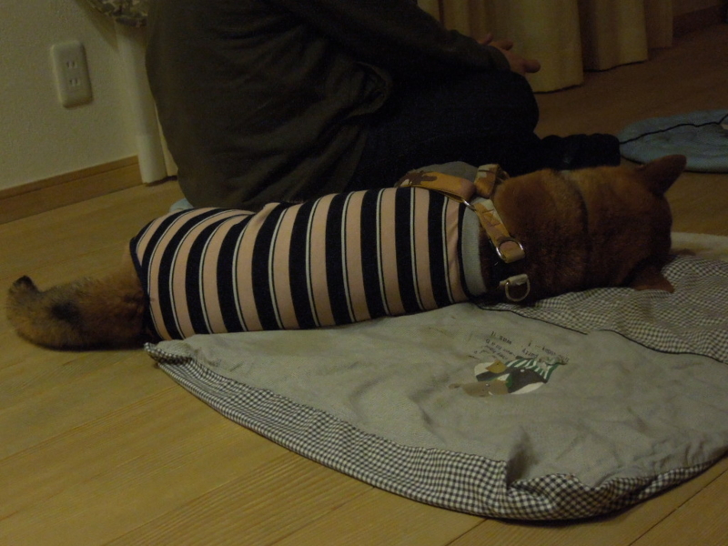 f:id:miyuki1967:20140113221946j:image:w400