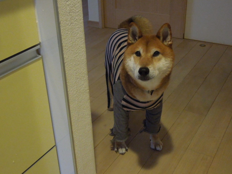 f:id:miyuki1967:20140116074216j:image:w400