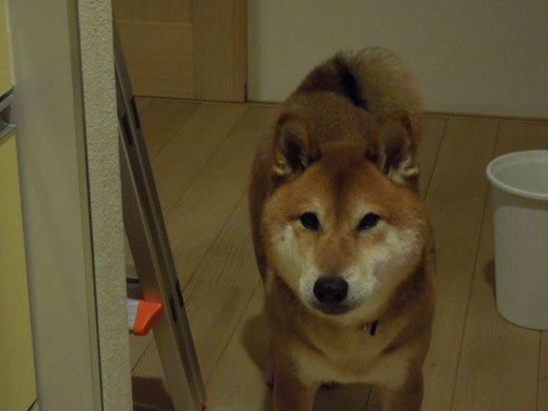 f:id:miyuki1967:20140116222654j:image:w400