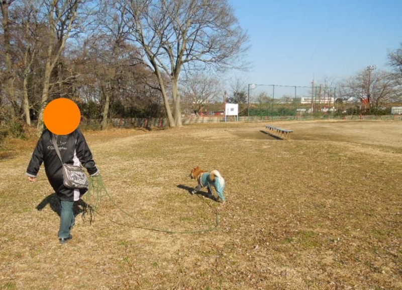 f:id:miyuki1967:20140117112055j:image:w400