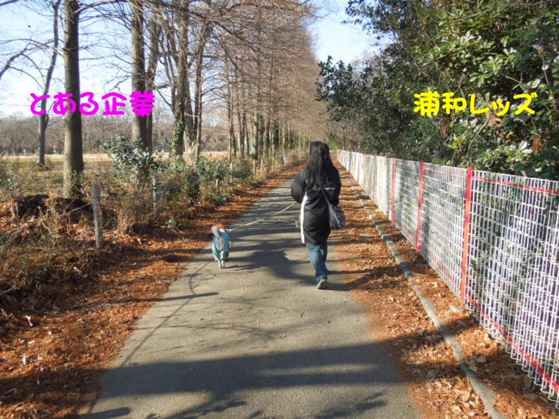 f:id:miyuki1967:20140117112123j:image:w400