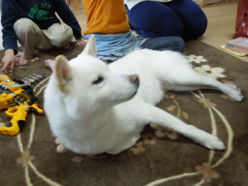 f:id:miyuki1967:20140118131730j:image