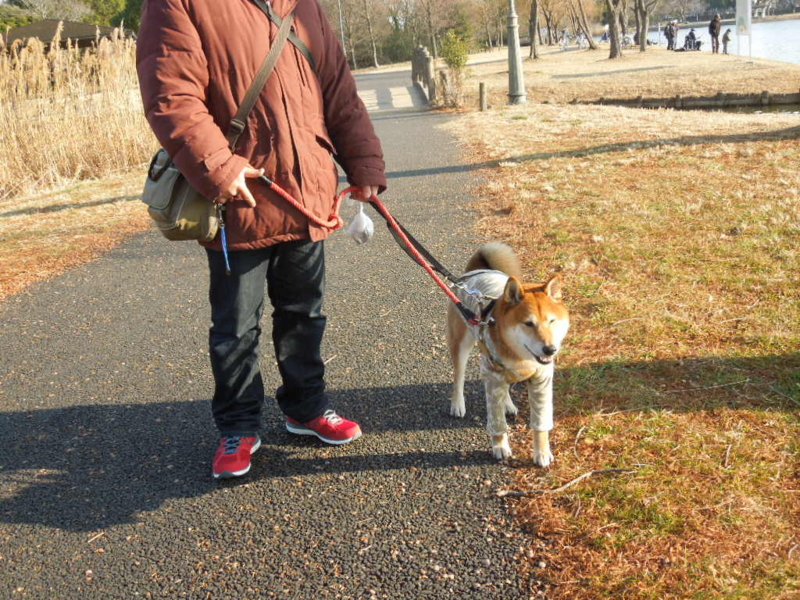 f:id:miyuki1967:20140118145739j:image:w400