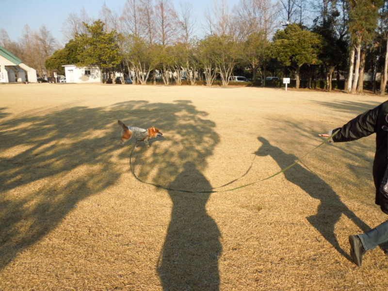 f:id:miyuki1967:20140118150948j:image:w400