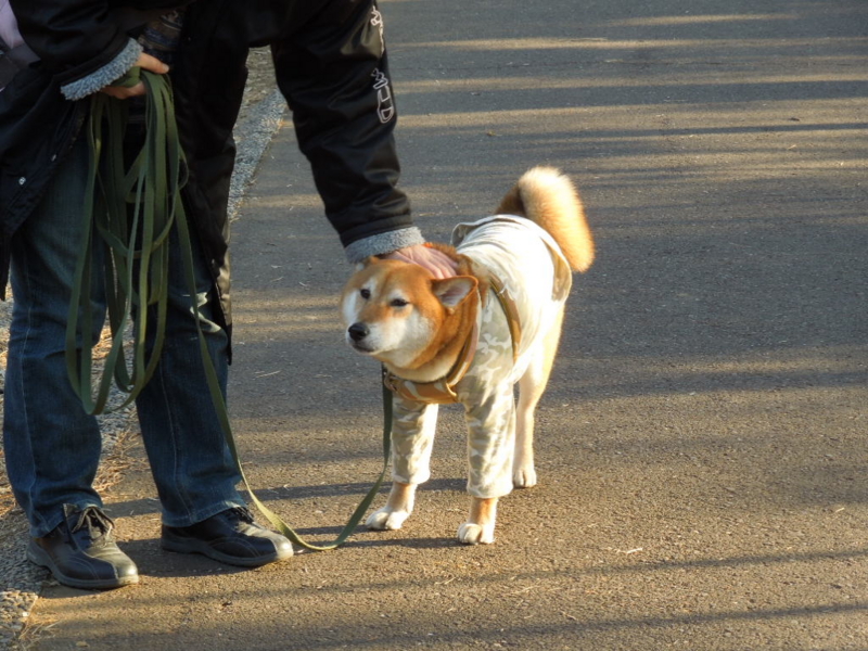 f:id:miyuki1967:20140118151230j:image:w400