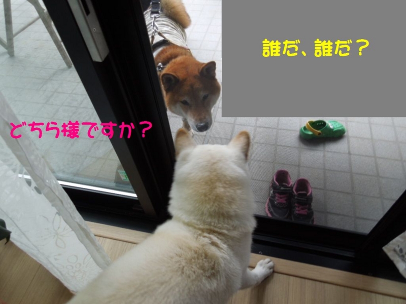 f:id:miyuki1967:20140120094249j:image:w400