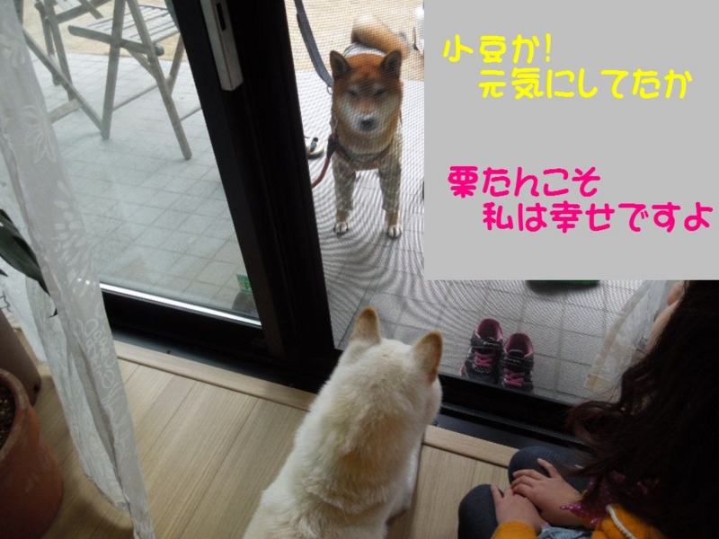 f:id:miyuki1967:20140120095323j:image:w400