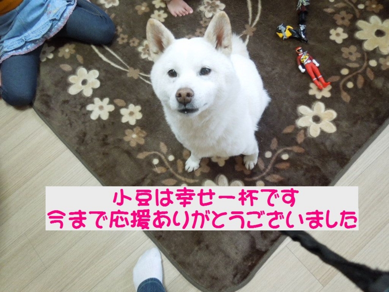 f:id:miyuki1967:20140120101247j:image