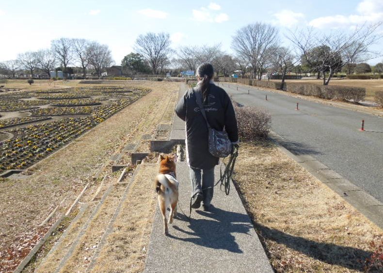 f:id:miyuki1967:20140123121024j:image:w400