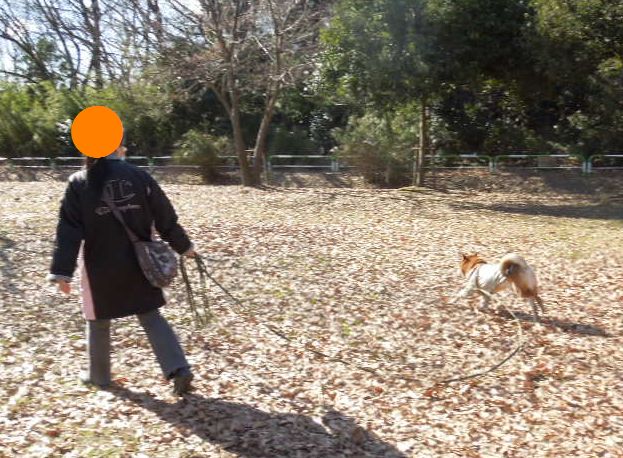 f:id:miyuki1967:20140123121127j:image:w400
