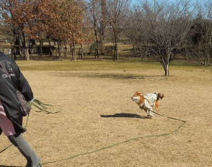 f:id:miyuki1967:20140123121609j:image:w400