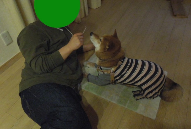 f:id:miyuki1967:20140125111802j:image:w400