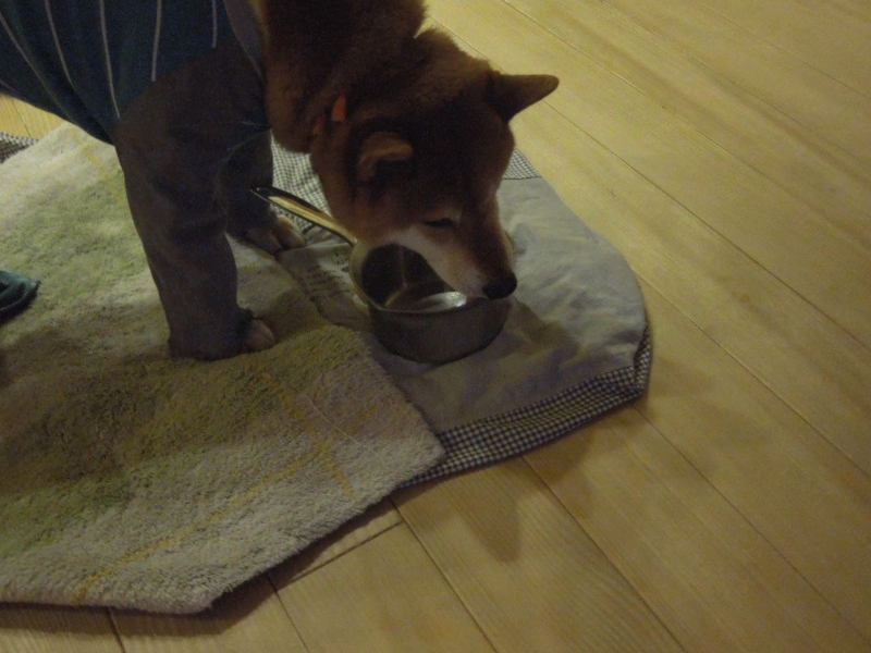 f:id:miyuki1967:20140131105553j:image:w400