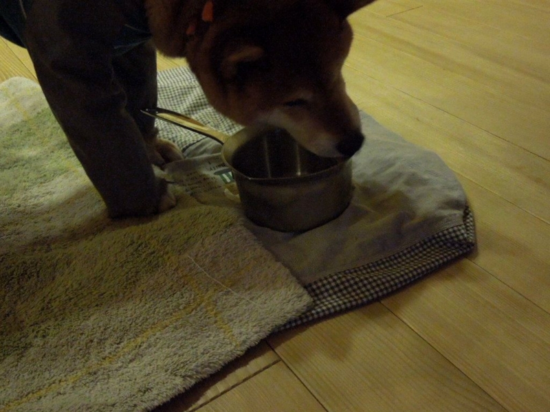 f:id:miyuki1967:20140131110035j:image:w400