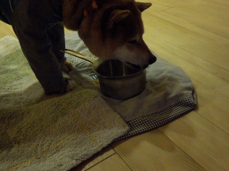 f:id:miyuki1967:20140131110121j:image:w400