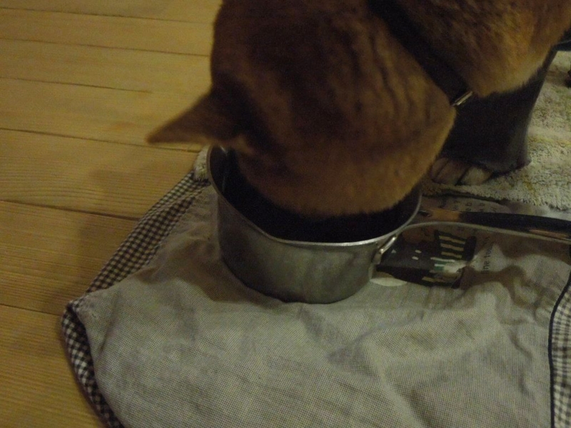 f:id:miyuki1967:20140131110212j:image:w400