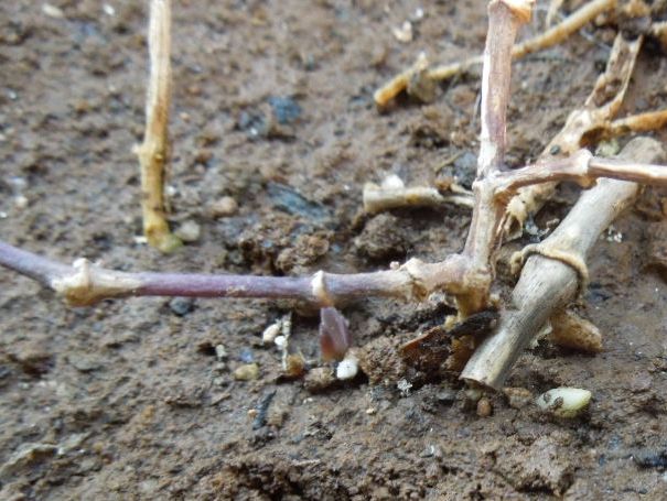 f:id:miyuki1967:20140131110747j:image:w400