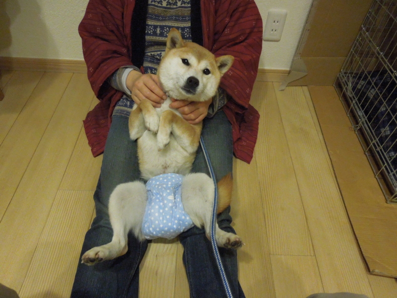 f:id:miyuki1967:20140305225632j:image:w400