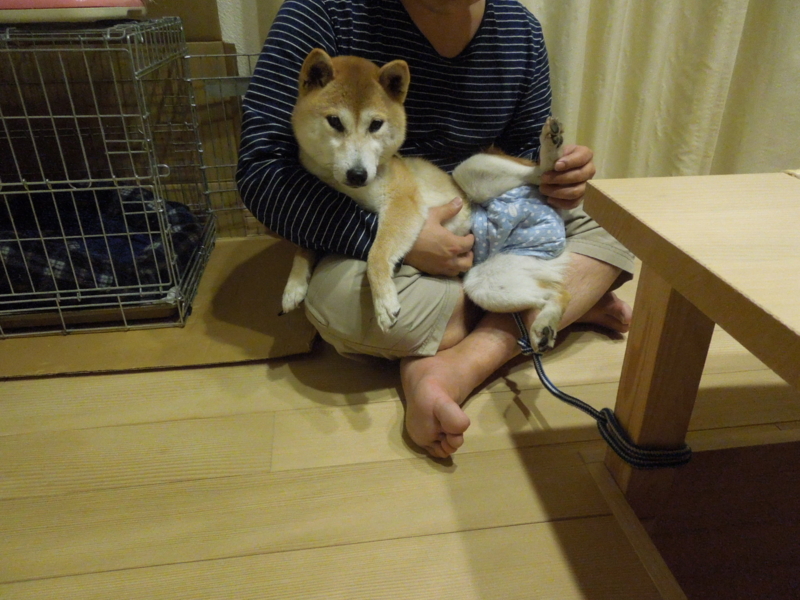 f:id:miyuki1967:20140305230303j:image:w400