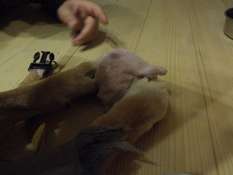 f:id:miyuki1967:20140305230350j:image:w400