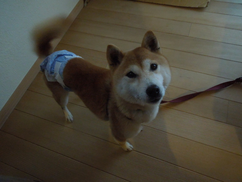 f:id:miyuki1967:20140306071238j:image:w400