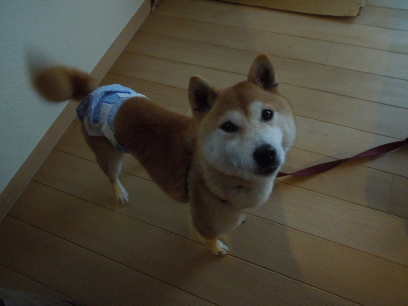 f:id:miyuki1967:20140306071239j:image:w400