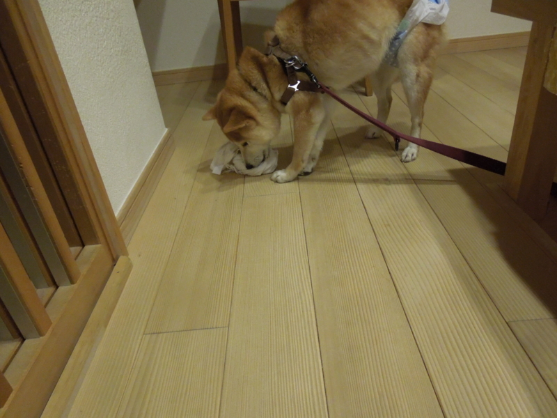 f:id:miyuki1967:20140306225545j:image:w400