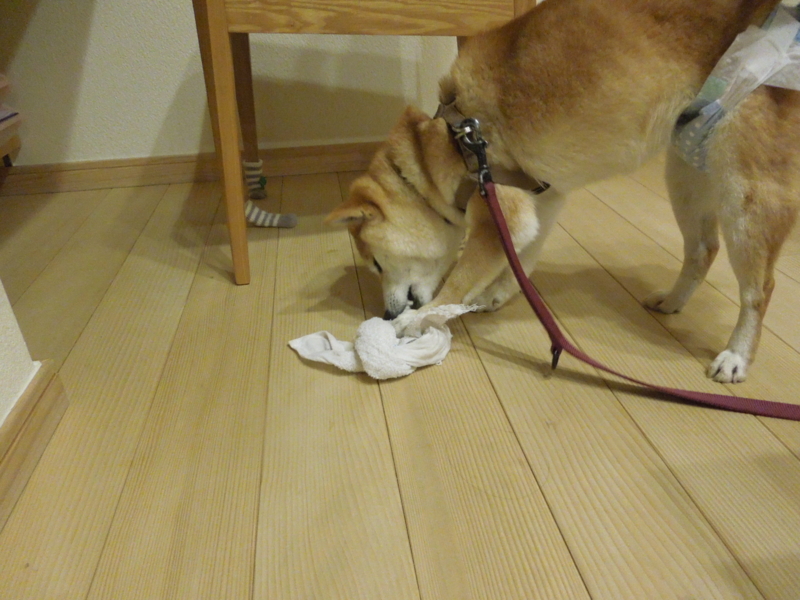 f:id:miyuki1967:20140306225600j:image:w400