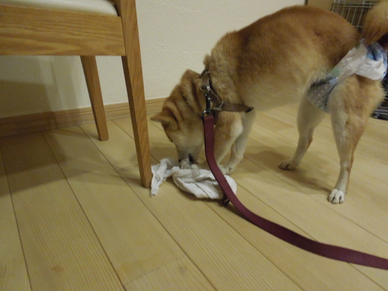 f:id:miyuki1967:20140306225634j:image:w400