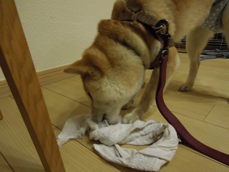 f:id:miyuki1967:20140306225654j:image:w400