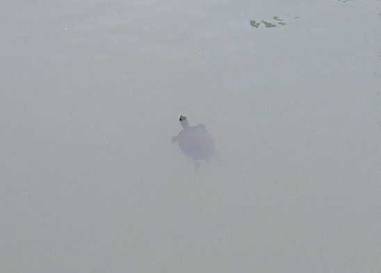 f:id:miyuki1967:20140307115455j:image:w400