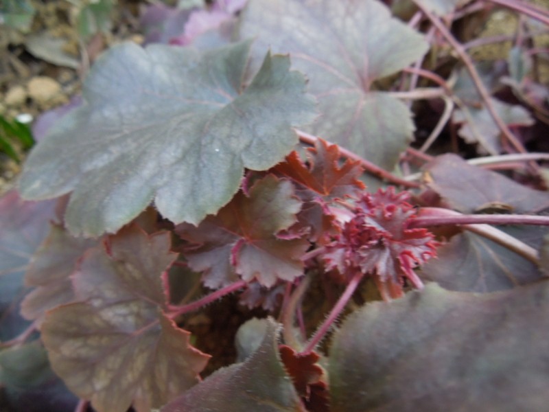 f:id:miyuki1967:20140311081815j:image:w400