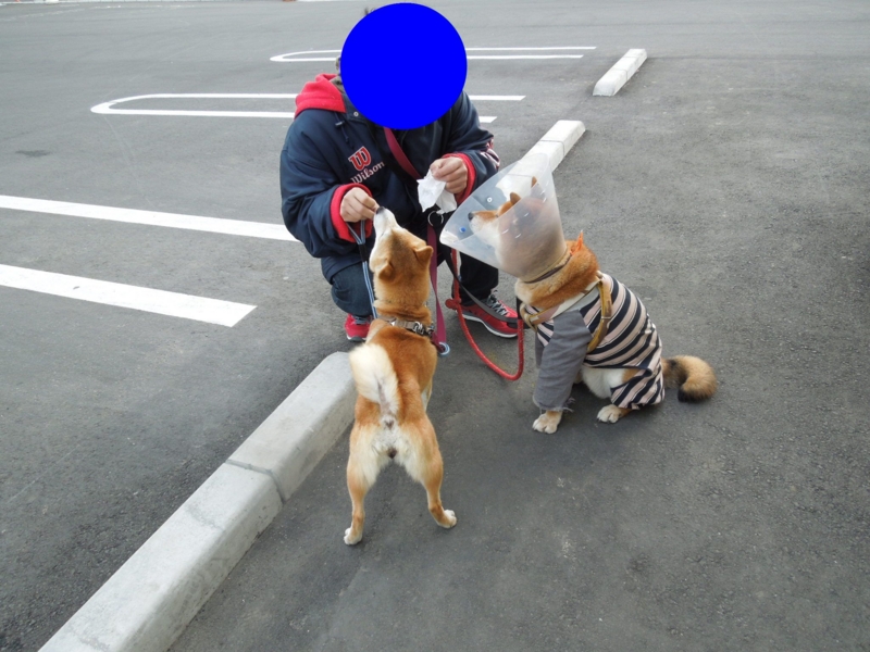 f:id:miyuki1967:20140312120311j:image:w400