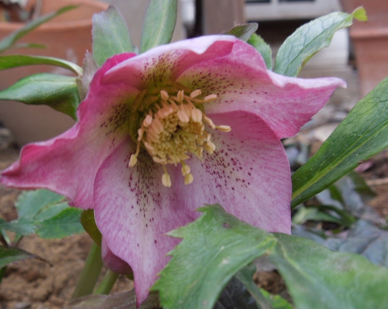 f:id:miyuki1967:20140313113049j:image:w400