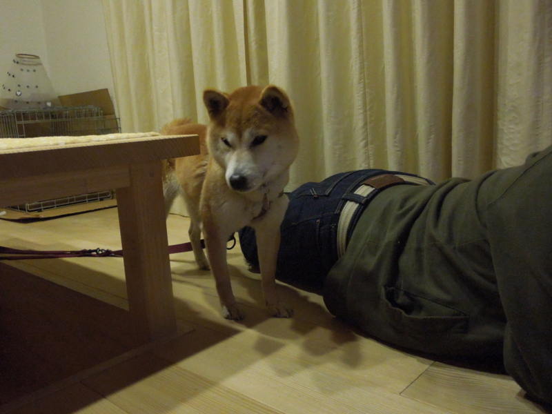 f:id:miyuki1967:20140316210830j:image:w400