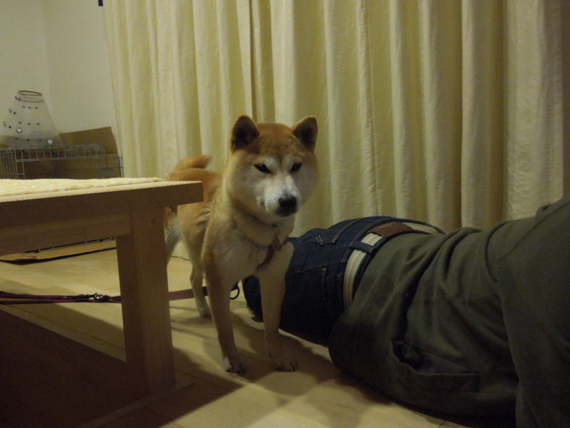 f:id:miyuki1967:20140316210836j:image:w400